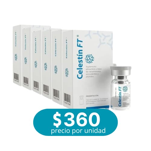 6 Unidades