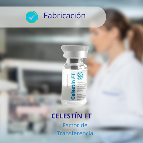 Proceso de Fabricación del Factor de Transferencia